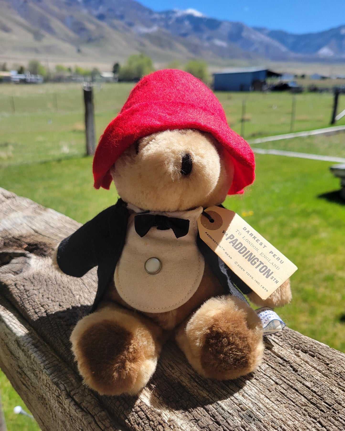 Vintage 1981 Eden Toys "Paddington Bear" Tuxedo - Darkest Peru
